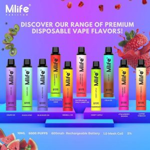 Mlife 6000 P
